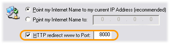 Web Port Redirection